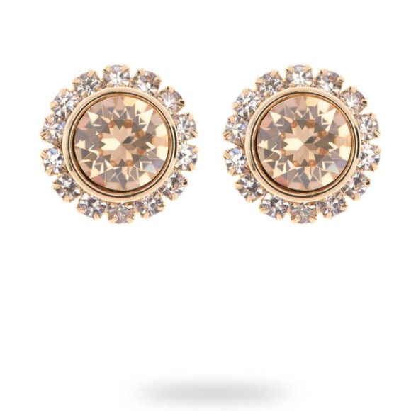 Ted Baker London GOLDEN Swarovski Crystal Sully Daisy Stud Earrings